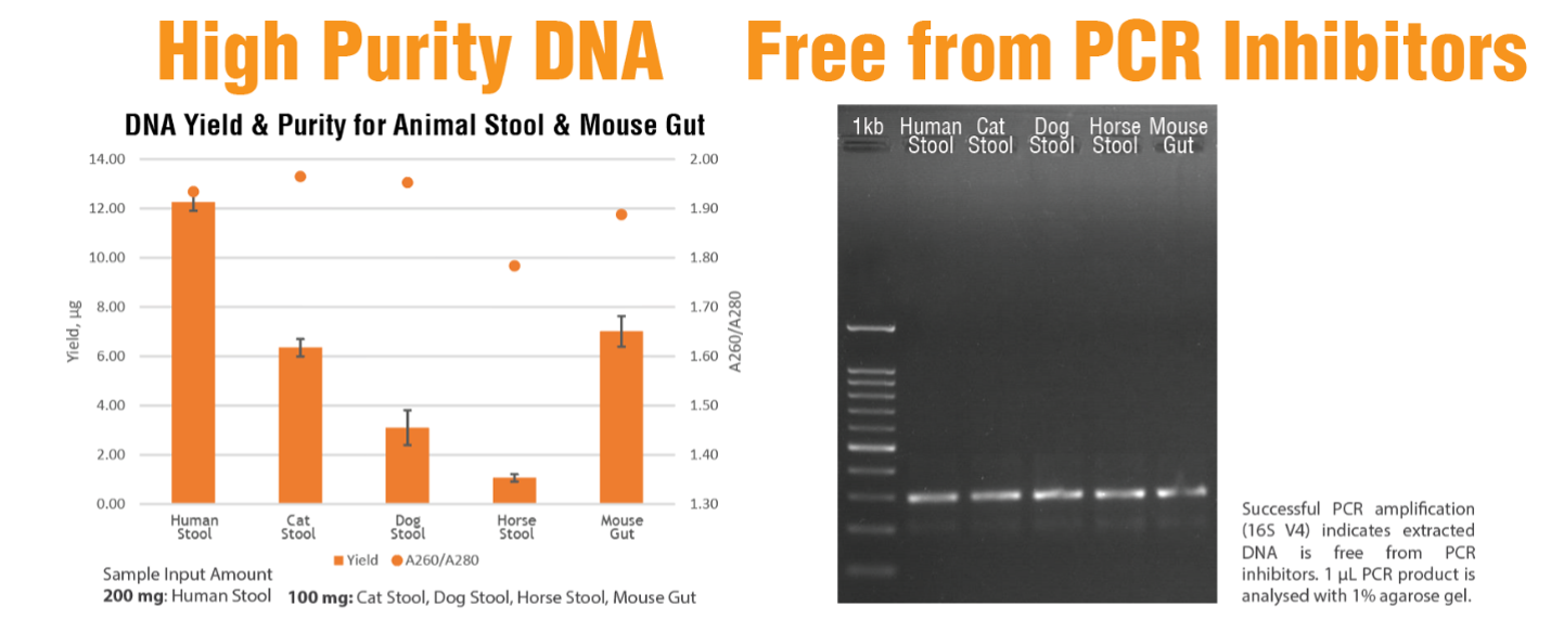 Dữ liệu ứng dụng PrimeWay Stool DNA Extraction Kit