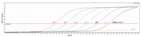 Kết quả phát hiện SARS-CoV-2